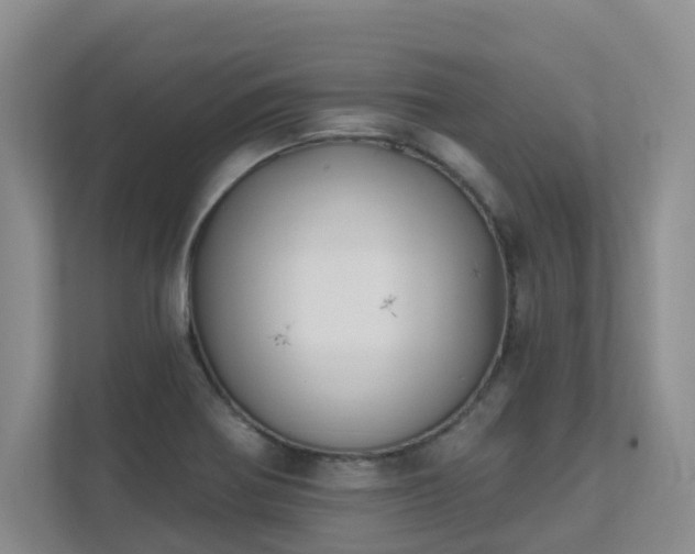 X0000111621370200907171235