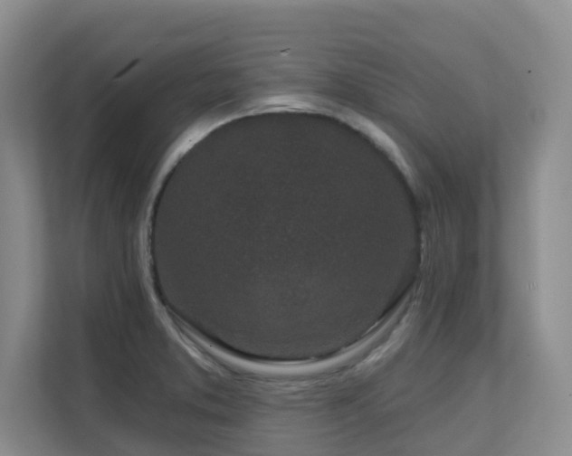 X0000111621373200907171235
