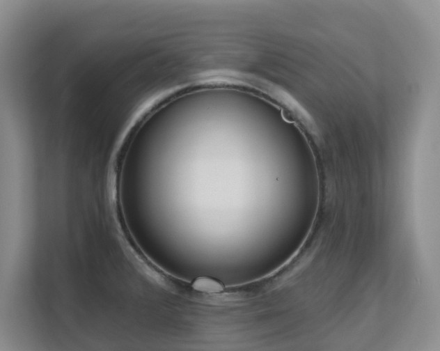 X0000111621376200907171235
