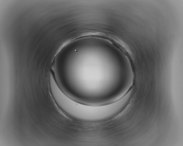 X0000111621377200907171235