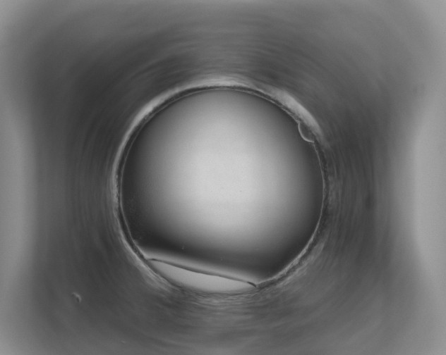 X0000111621380200907171235