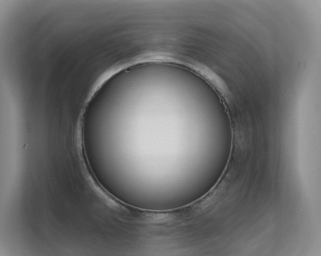 X0000111621382200907171235