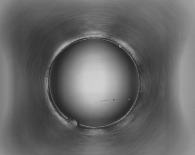 X0000111621383200907171235