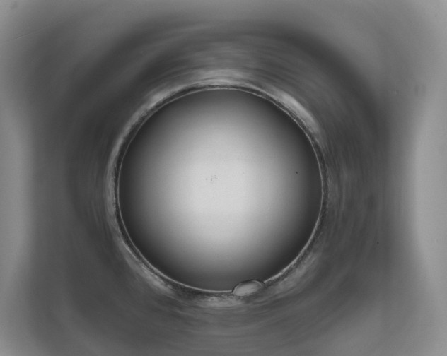 X0000111621384200907171235