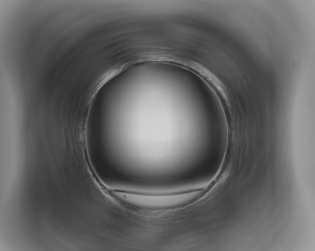 X0000111621385200907171235