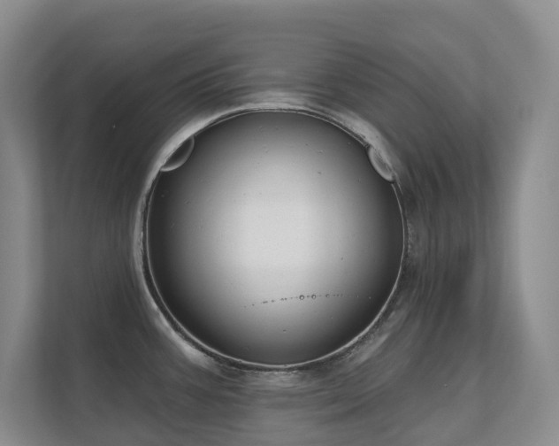 X0000111621387200907171235