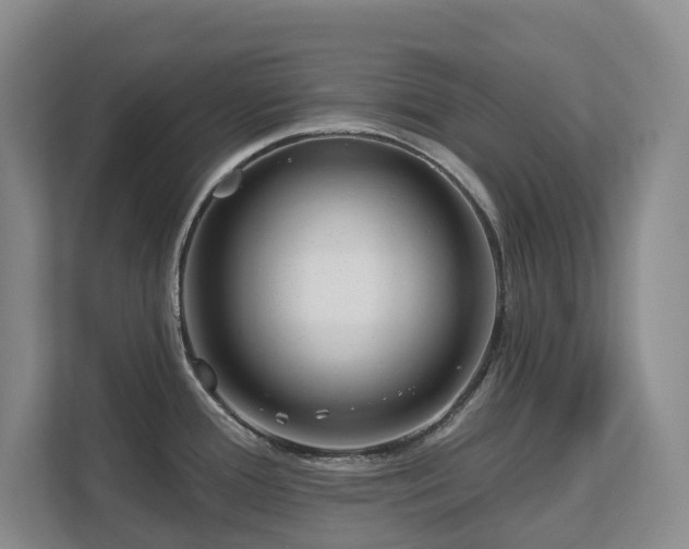 X0000111621388200907171235