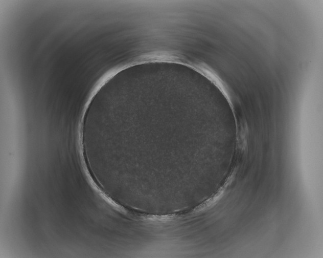 X0000111621389200907171235