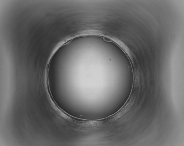 X0000111621390200907171235
