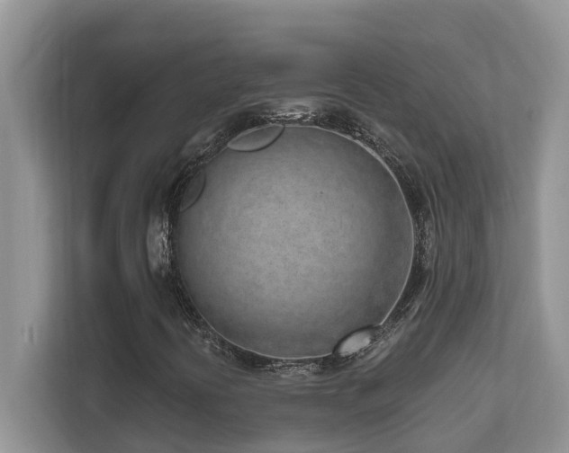 X0000111621394200907171234