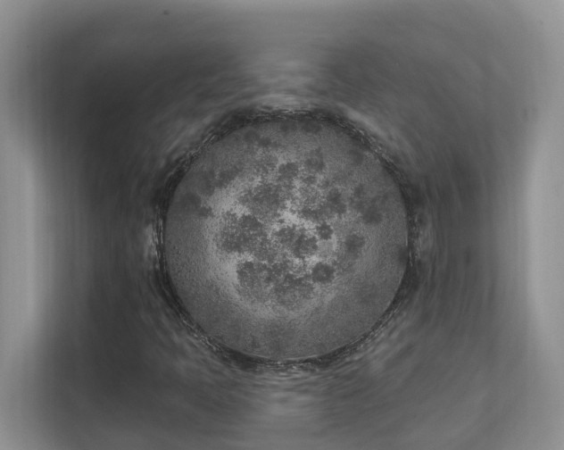 X0000111621397200907171234