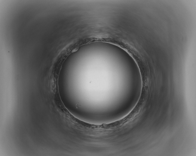 X0000111621398200907171234