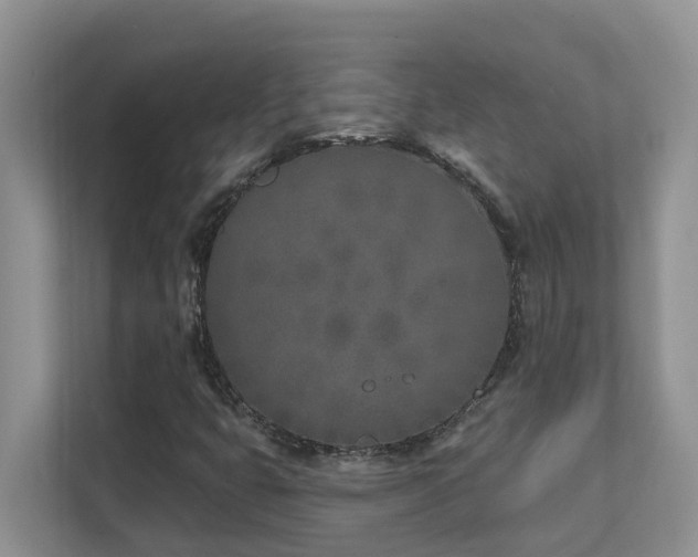 X0000111621399200907171234
