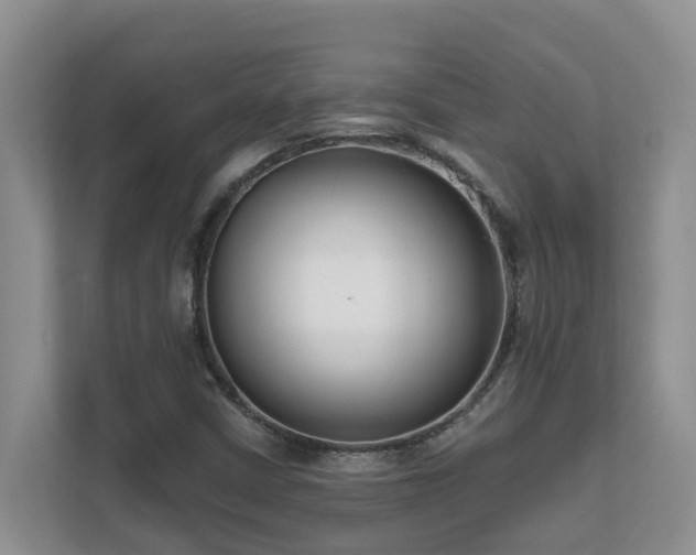 X0000111621402200907171234