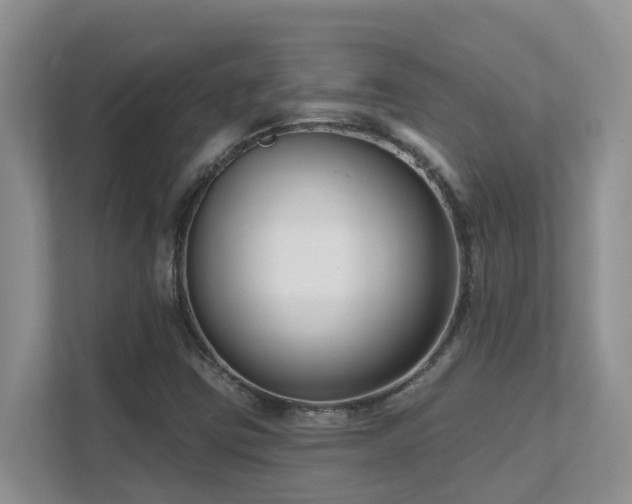X0000111621403200907171235