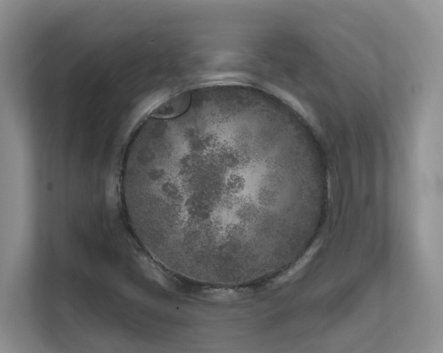 X0000111621405200907171235