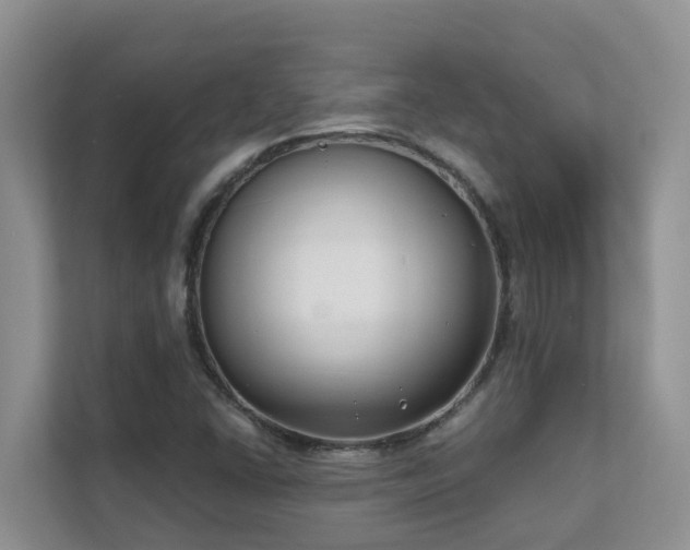 X0000111621406200907171235