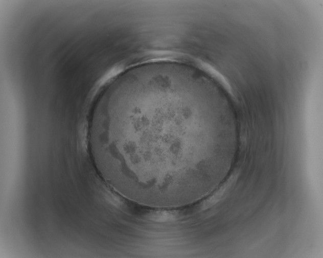 X0000111621411200907171235