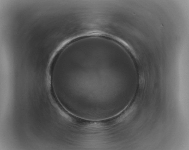 X0000111621414200907171235