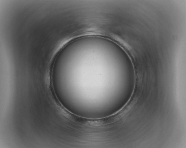 X0000111621415200907171235