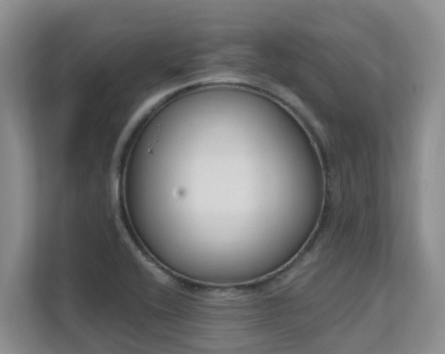 X0000111621416200907171235