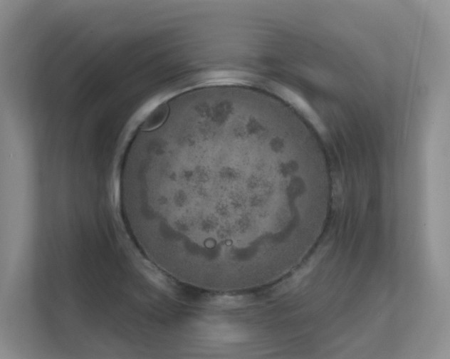 X0000111621419200907171235