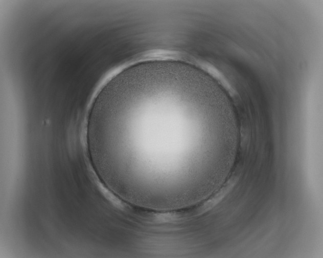 X0000111621421200907171235