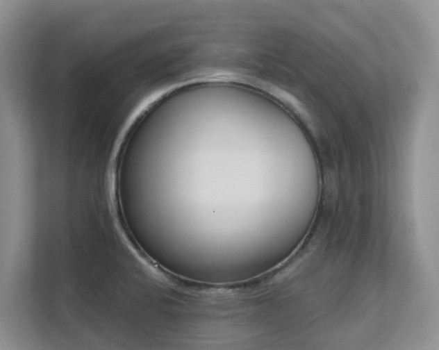 X0000111621424200907171235