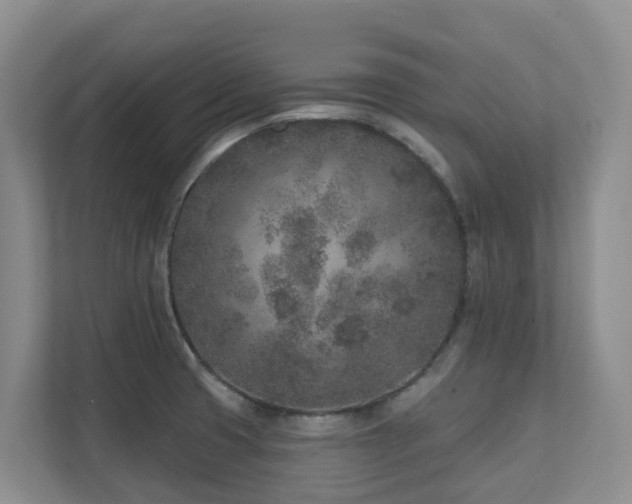 X0000111621425200907171235