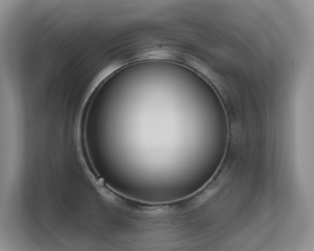 X0000111621426200907171235
