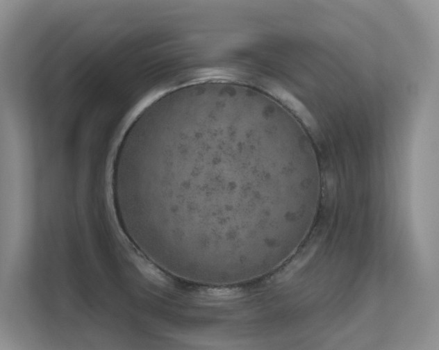 X0000111621427200907171235