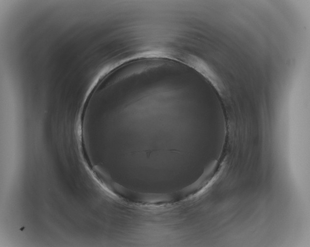 X0000111621428200907171235