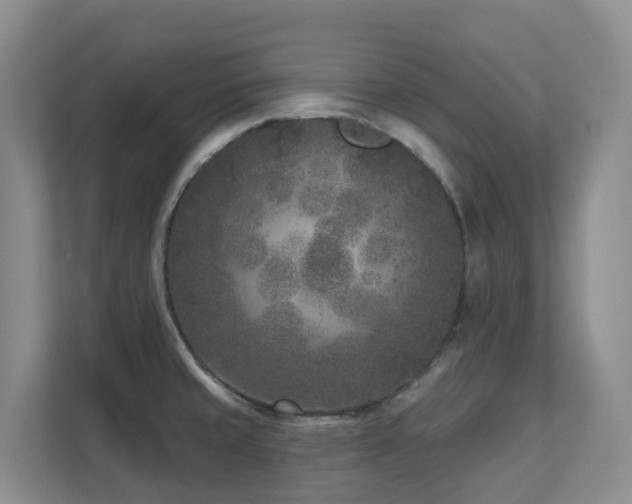 X0000111621429200907171235