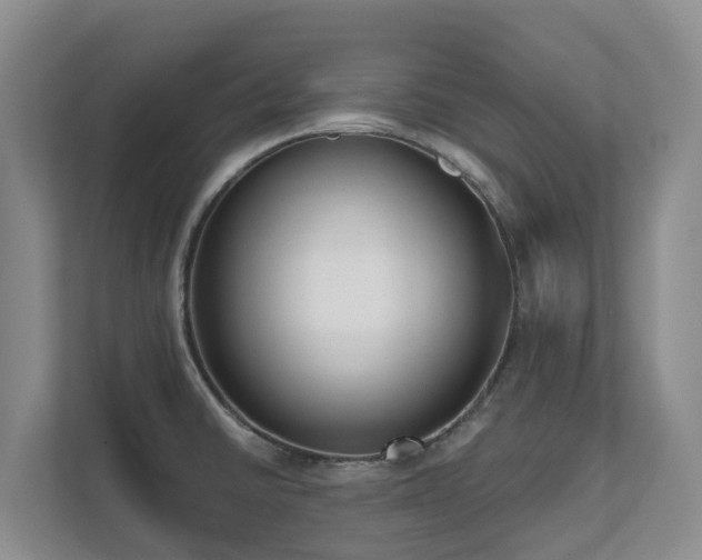 X0000111621430200907171235