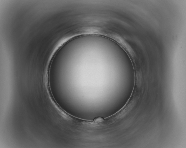X0000111621432200907171235
