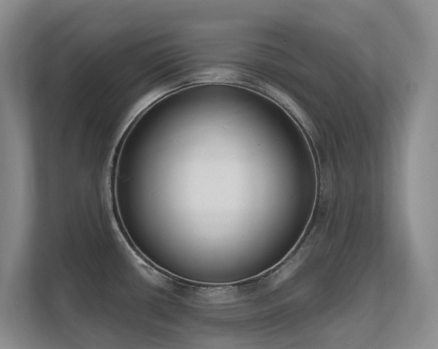 X0000111621434200907171235