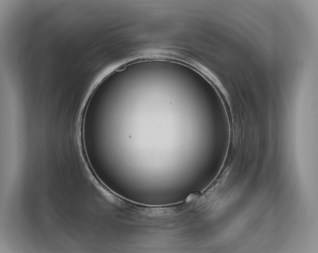 X0000111621437200907171235