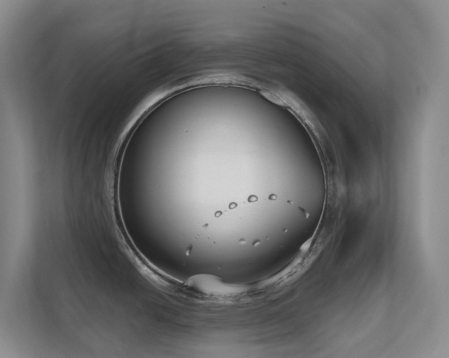 X0000111621438200907171235