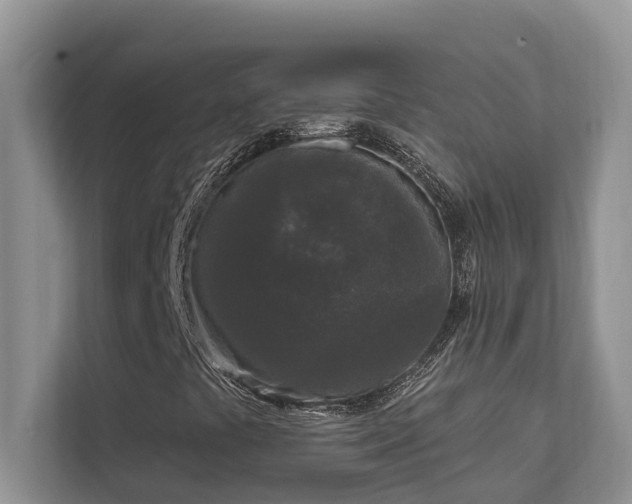 X0000111621441200907171234