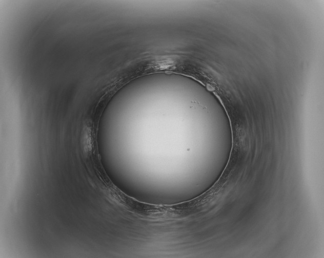 X0000111621442200907171234