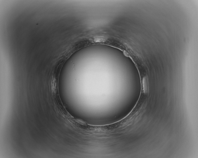 X0000111621443200907171234