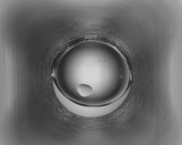 X0000111621445200907171234
