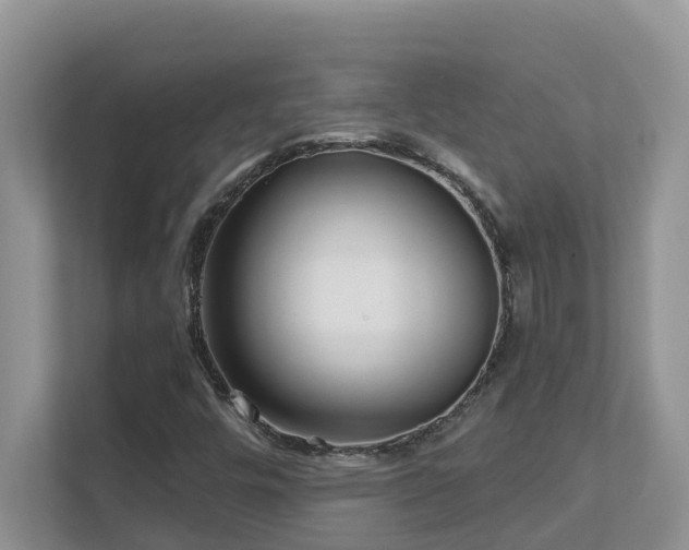 X0000111621448200907171234