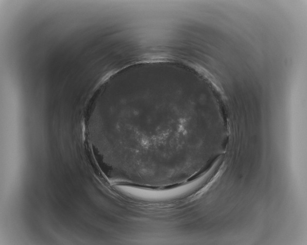 X0000111621449200907171234