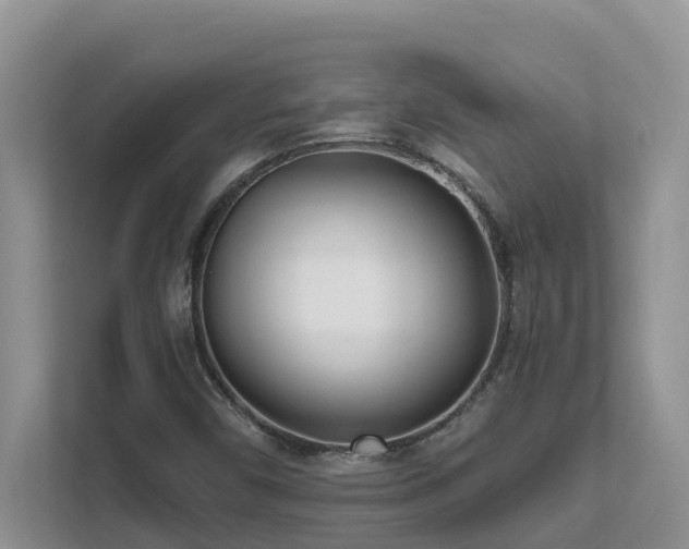 X0000111621450200907171234