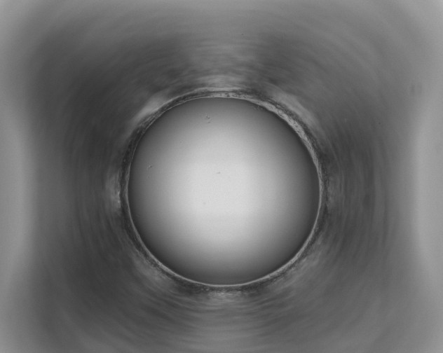 X0000111621451200907171234