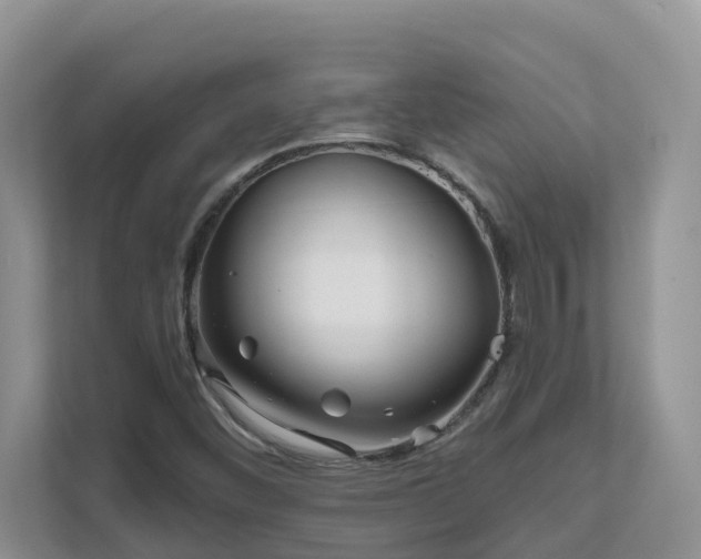 X0000111621452200907171234