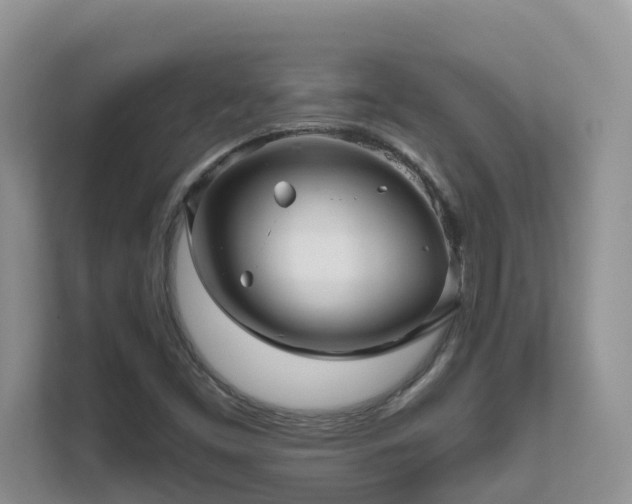 X0000111621453200907171234