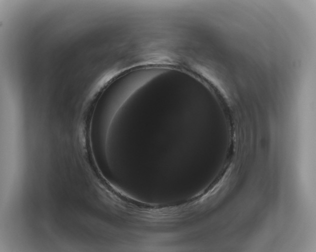 X0000111621455200907171234