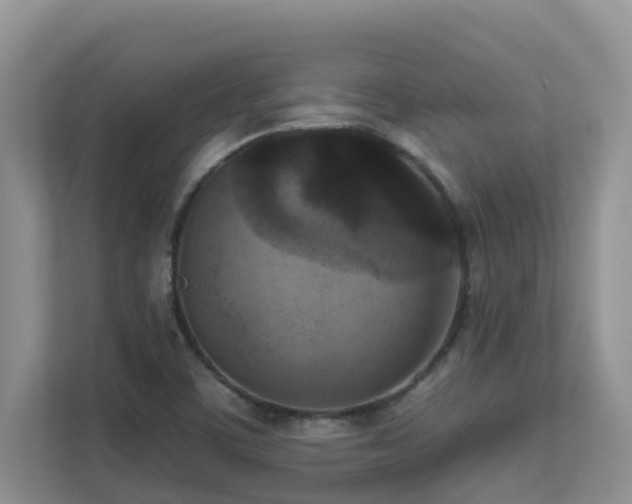 X0000111621459200907171234